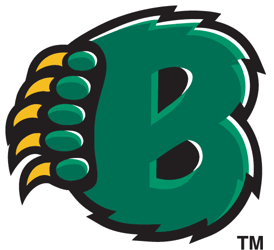 Baylor Bears 1997-2004 Alternate Logo v2 iron on transfers for clothing